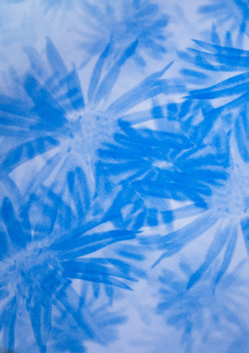 eisblumen