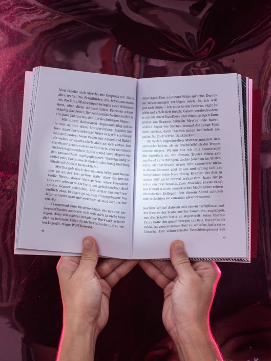 Layout und Illustration des Buches von Werner Fritschi