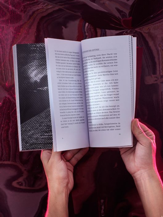 Layout und Illustration des Buches von Werner Fritschi