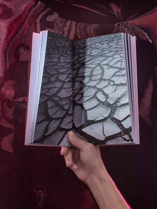 Layout und Illustration des Buches von Werner Fritschi