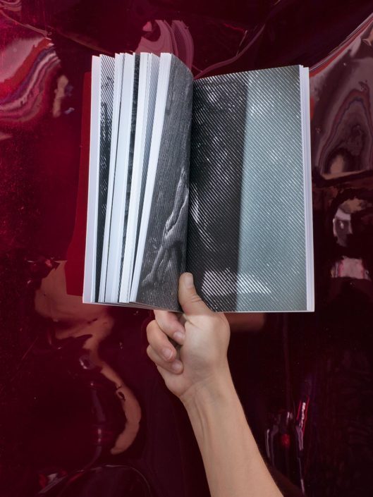 Layout und Illustration des Buches von Werner Fritschi