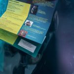 Eventkalender für das Tropenhaus Wolhusen